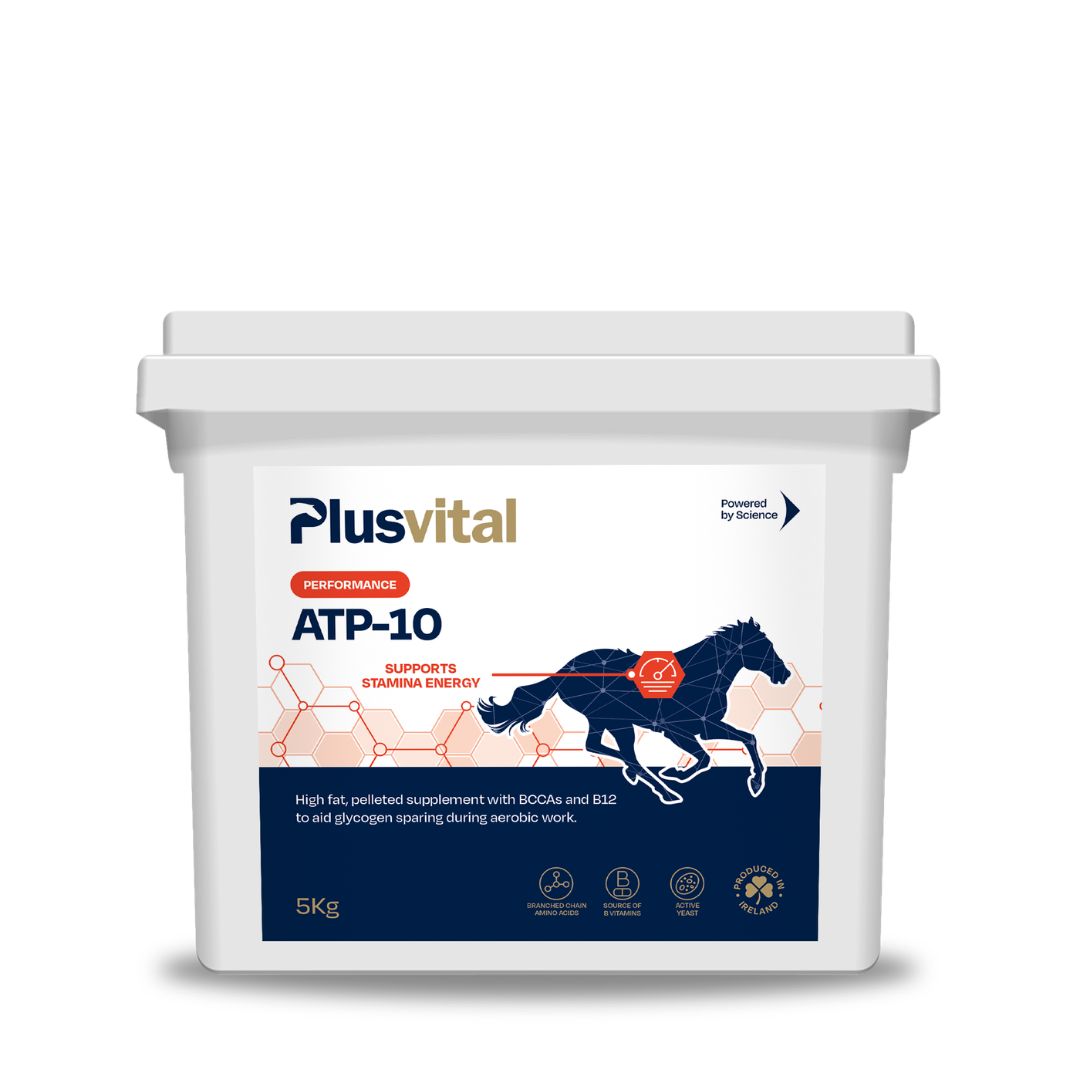 ATP-10 Plus Vital – soutien de l’énergie musculaire et de la récupération chez le cheval VLC Europe