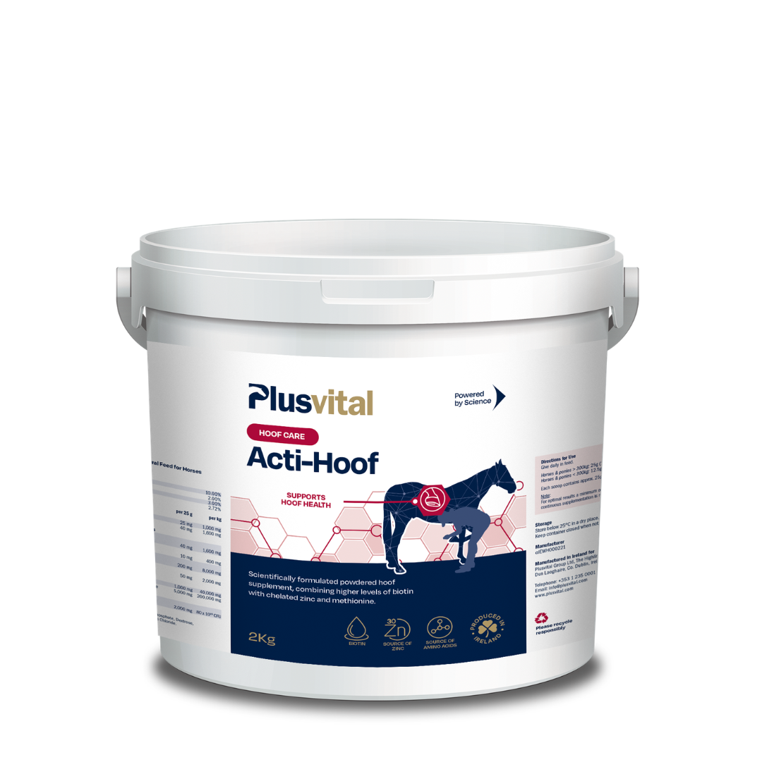 Acti-Hoof 2kg – soin des sabots pour chevaux VLC Europe