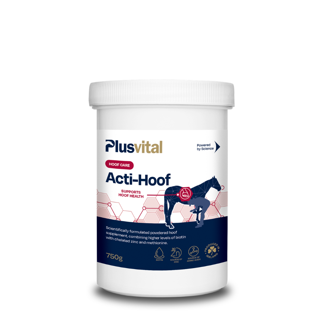Acti-Hoof 750g – soin des sabots pour chevaux VLC Europe