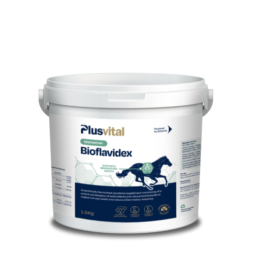 Bioflavidex Plus Vital 1.5kg – complément pour chevaux, soutien de la circulation sanguine et de la récupération musculaire