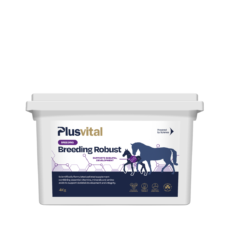 Boost de vitalité pour chevaux