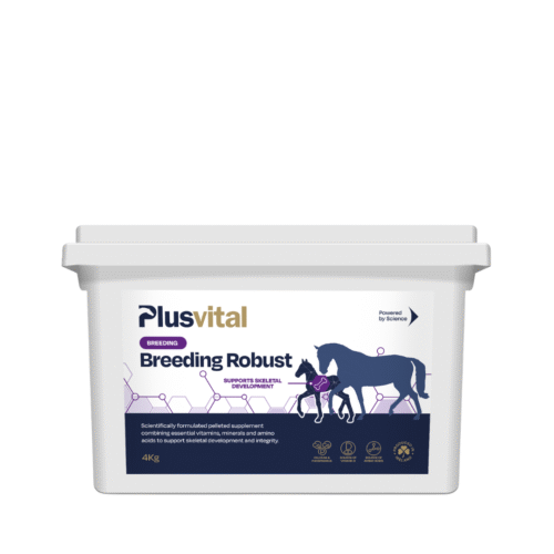 Boost de vitalité pour chevaux