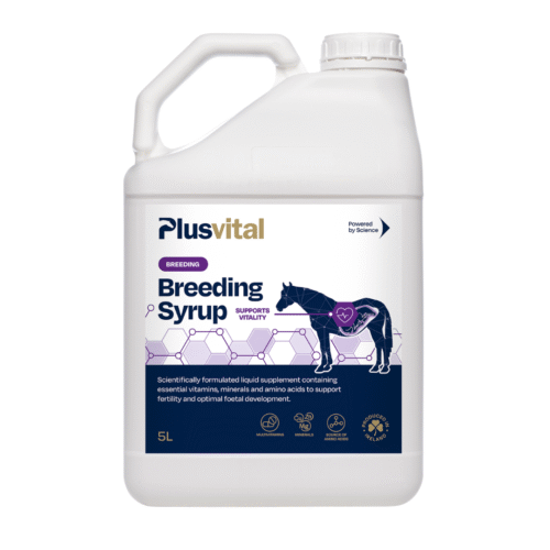 Complément alimentaire liquide pour chevaux, vitalité et énergie