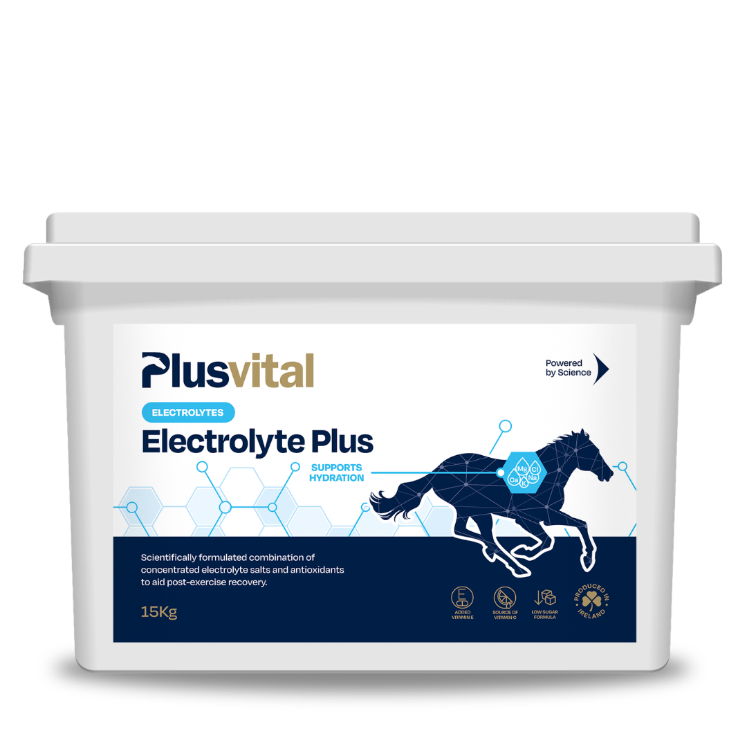 Electrolyte Plus 15 kg VLC Europe