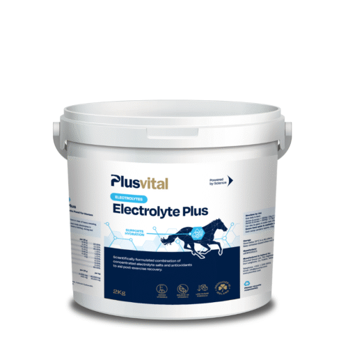 Plusvital Electrolyte Plus 2Kg VLCEurope