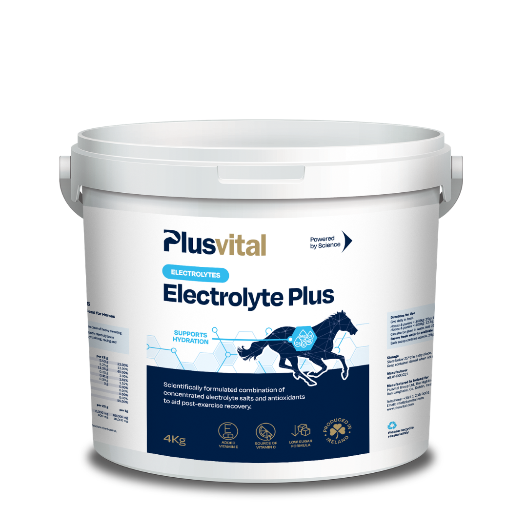Plusvital Electrolyte Plus – Image 2