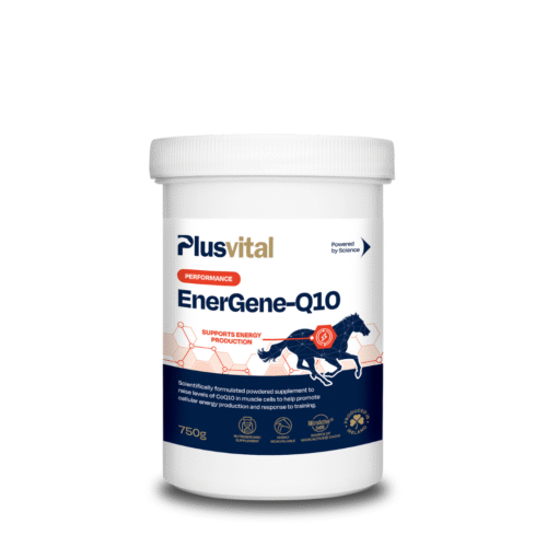 EnerGene-Q-10 Plus Vital – énergie, endurance et récupération musculaire pour chevaux VLC Europe