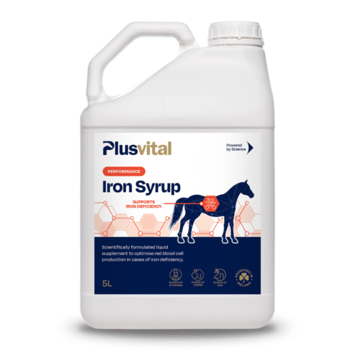 Iron Syrup Plus Vital – sirop complémentaire pour chevaux, soutien de la vitalité et de la production de globules rouges VLC Europe