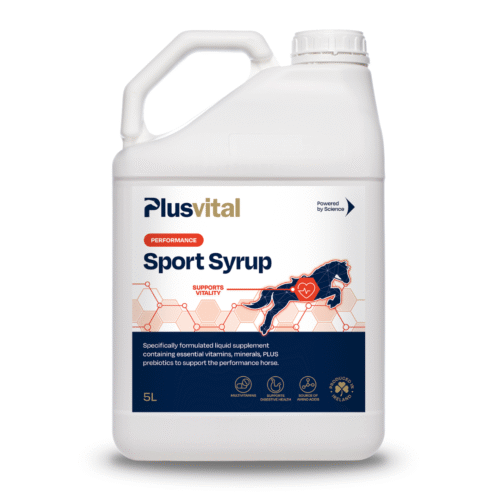 Sport Syrup Plus Vital – sirop pour chevaux, énergie et vitalité avant l’effort VLC Europe