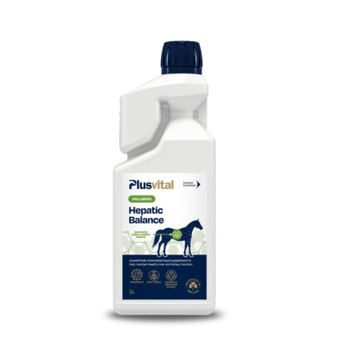 Hepatic Balance Plus Vital – complément pour chevaux, soutien du foie et de la détoxification VLC Europe
