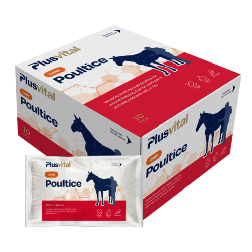 Pansement pour soin et protection des chevaux - Plus Vital