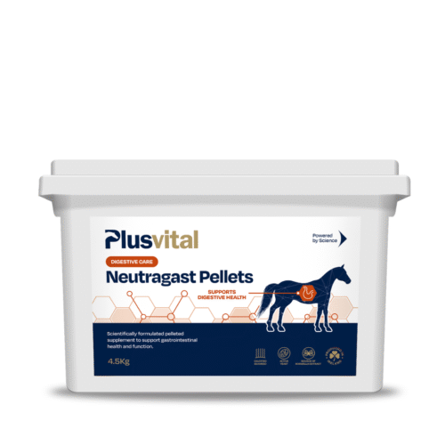 Neutragast Pellets 4,5 Kg VLC Europe