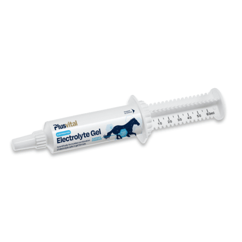 Gel pour l’hydratation des chevaux et la récupération après effort - VLC Europe