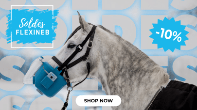 soldes-2026-flexineb