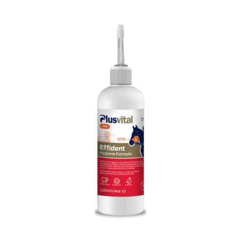Effident-PlusVital-Solution d'hygiène bucco-dentaire pour chevaux