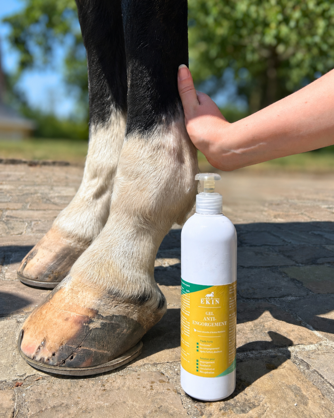 gel-anti-engorgement-ekin récupération