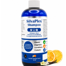 shampoing-SilvaPlex Shampoo argent chélaté