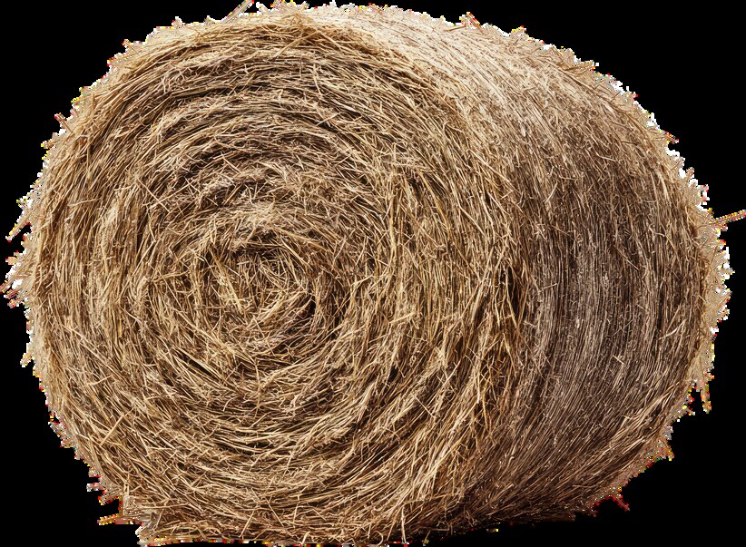 Botte de foin, première source d'allergènes
