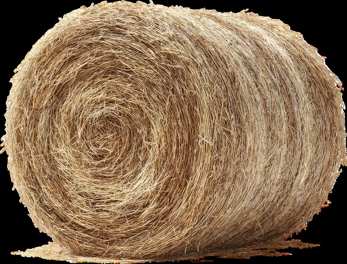 Botte de foin ronde pouvant contenir des spores de moisissures