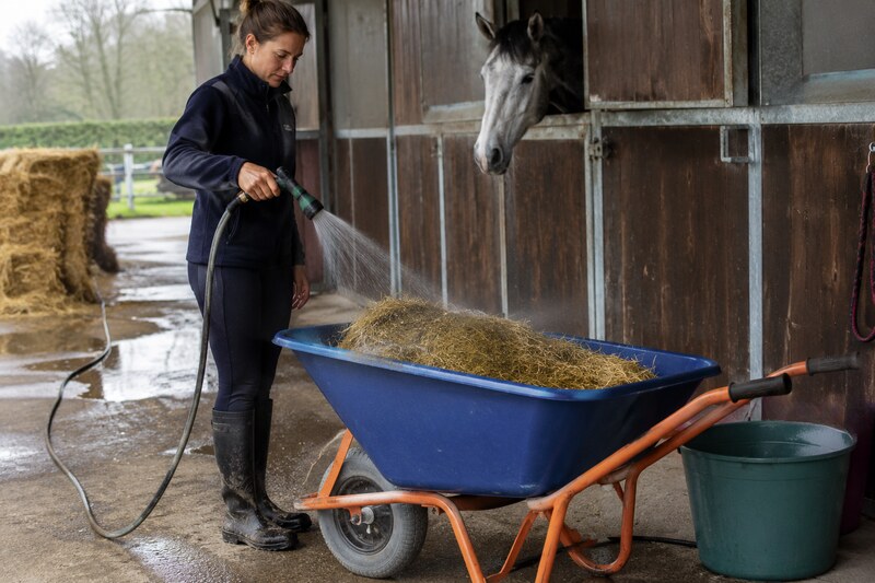 Foin humidifié dans une brouette avant distribution