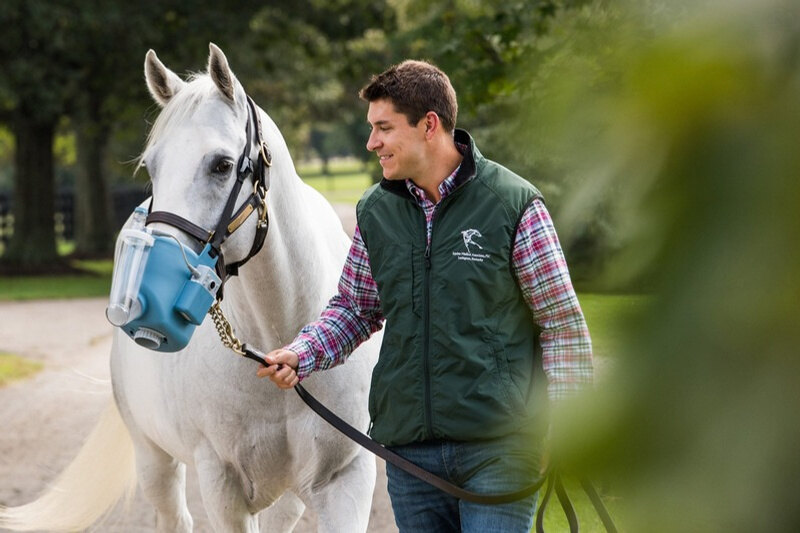 Cheval équipé d'un nébuliseur portable tenu en main