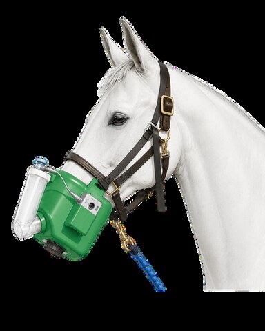 Nébuliseur portable sur batterie posé sur les naseaux d'un cheval