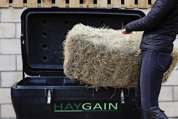 Traitement du foin à la vapeur pour un cheval asthmatique